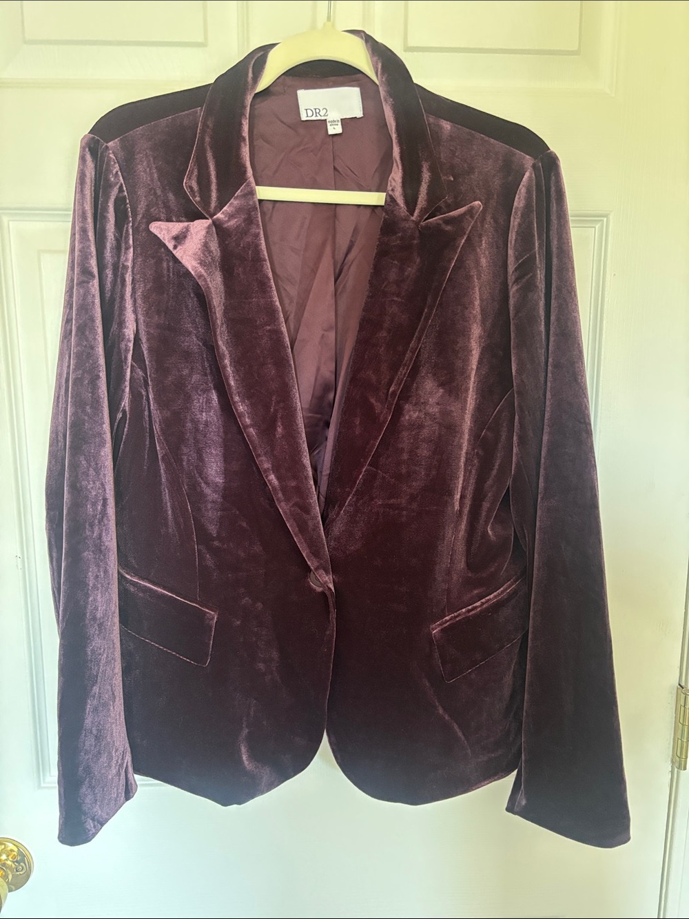 DR2 Velvet Blazer in Plum